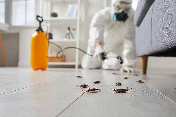 Trusted Termite Control service in Trucksville, PA - Nex Pest Control