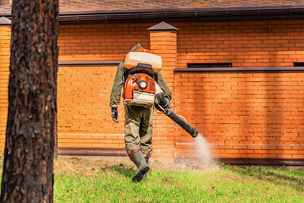 Trusted Cockroach Control service in Trucksville, PA - Nex Pest Control
